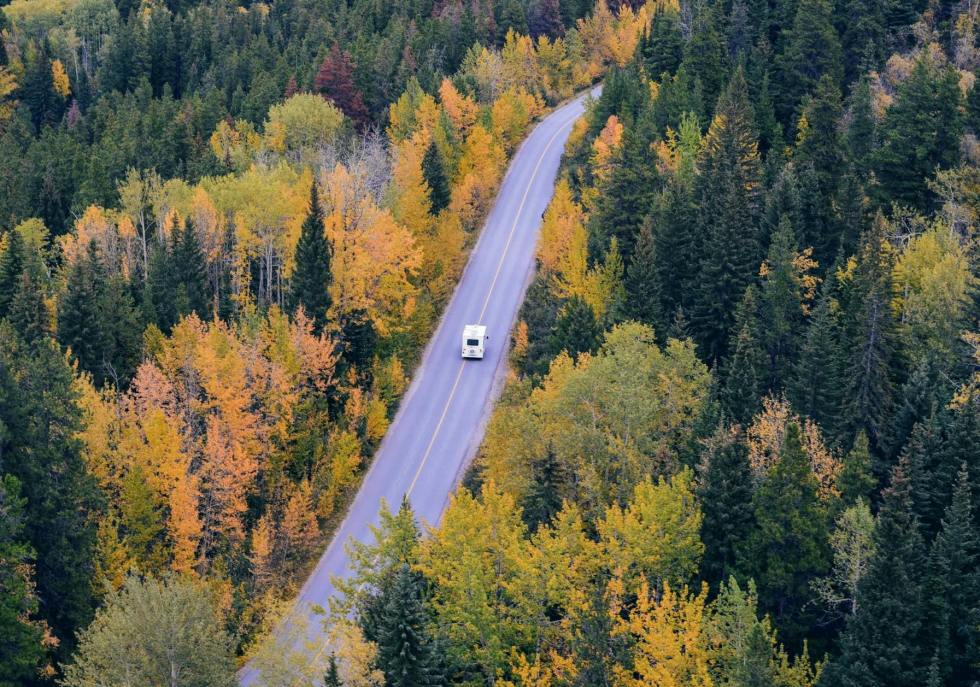 white car traveling near trees during daytime